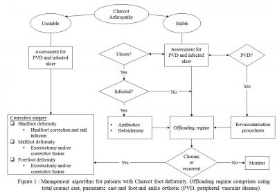Figure 1: Management algorithm for patients with Charcot foot deformity. Offloading regime comprises using total contact cast, pneumatic cast and foot and ankle orthotic (PVD, peripheral vascular disease)
